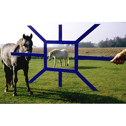 Pasted Graphic 1