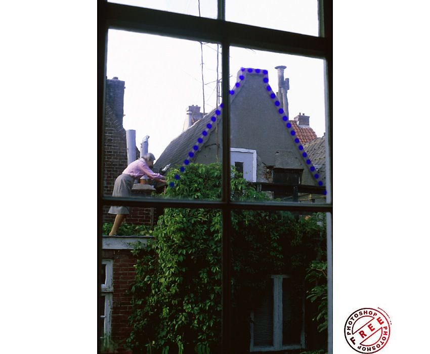 Pasted Graphic 1
